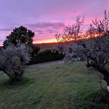 Bed and Breakfast L'Orto Sul Poggio Sutri Exterior foto