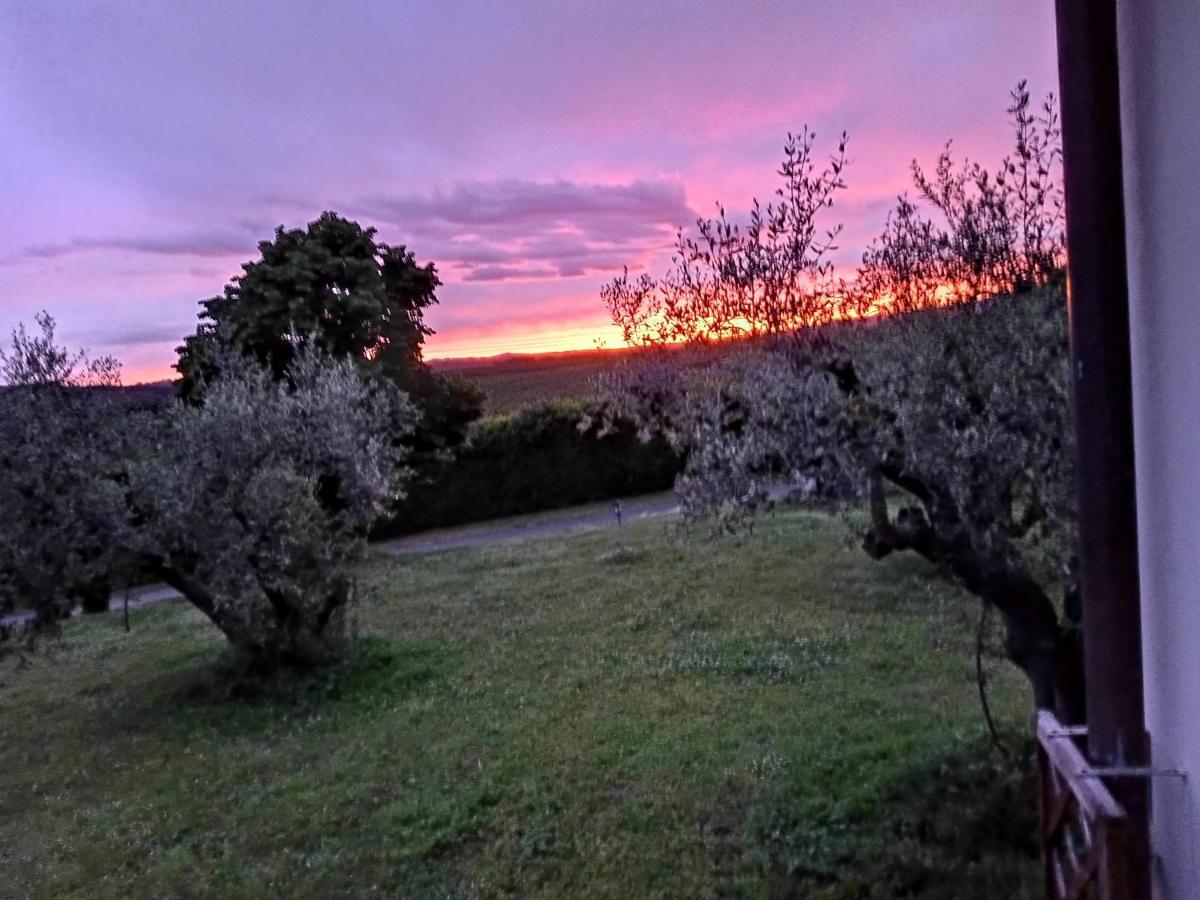 Bed and Breakfast L'Orto Sul Poggio Sutri Exterior foto