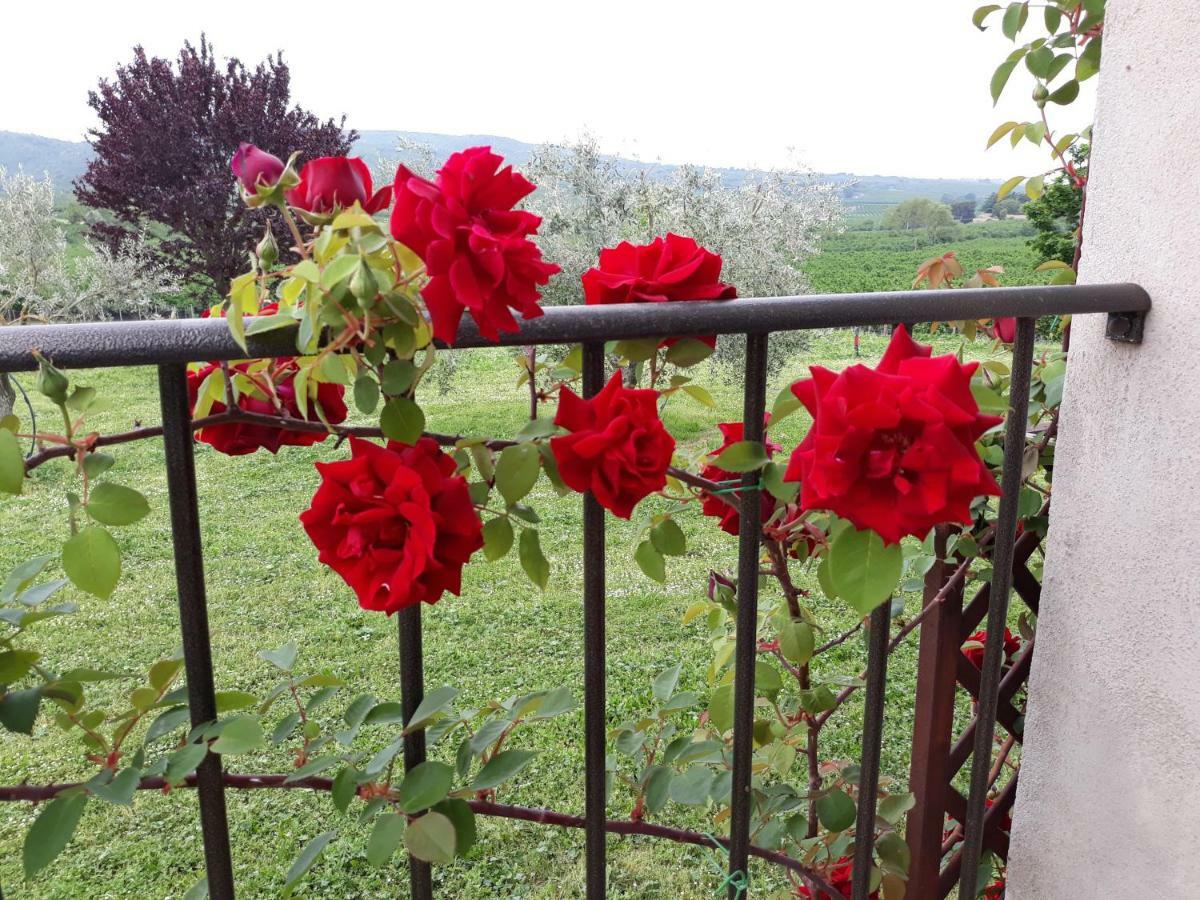 Bed and Breakfast L'Orto Sul Poggio Sutri Exterior foto